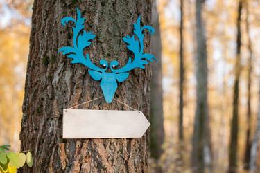 Similar image 13246467