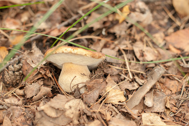 Similar image 13246480