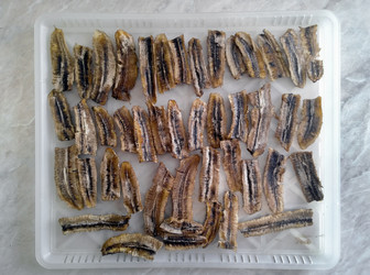 Similar image 13251453