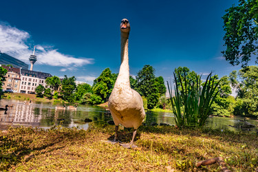 Similar image 13264003