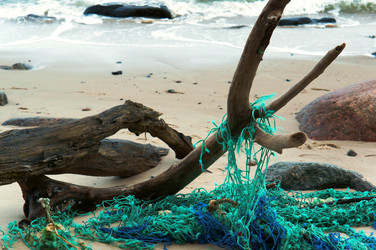 Similar image 13274116