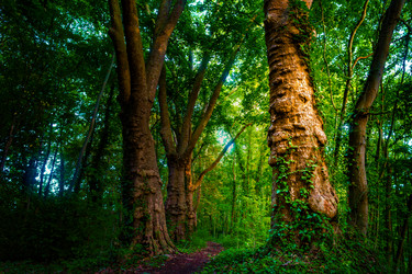 Similar image 13254929