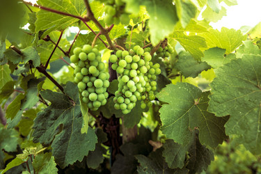 Similar image 13254981