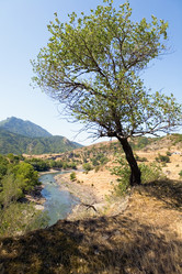 Similar image 13245701