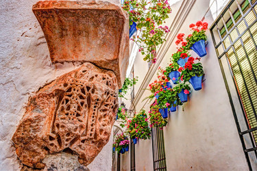 Similar image 13263903