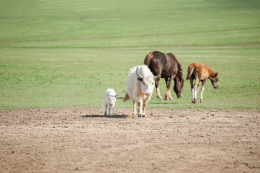 Similar image 13246511