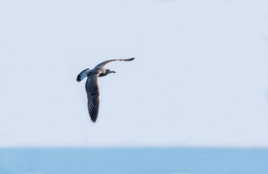 Similar image 13271274