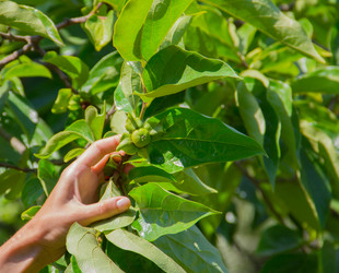 Similar image 13271275