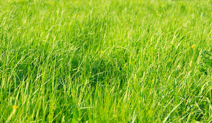 Similar image 13271294