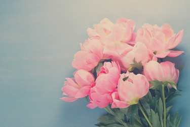 Similar image 13248168