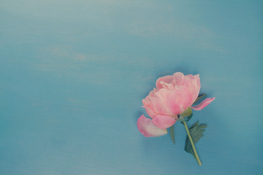 Similar image 13248197