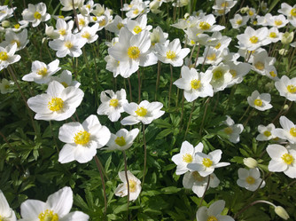 Similar image 13251860