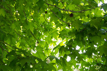 Similar image 13271297