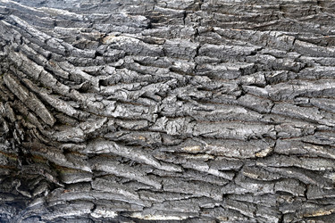 Similar image 13246371