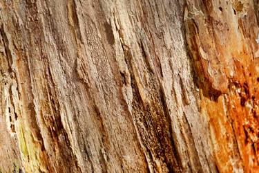 Similar image 13246373