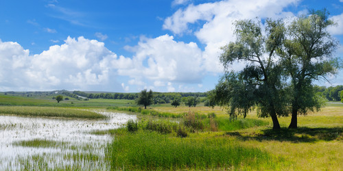 Similar image 13255261