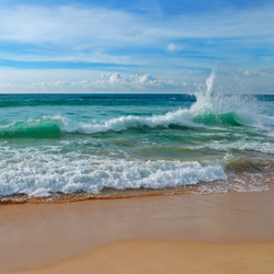 Similar image 13255266