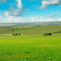 Similar image 13255295