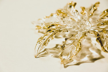 Similar image 13248728