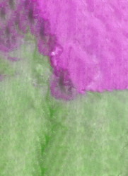 Similar image 13247220