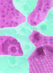 Similar image 13247099