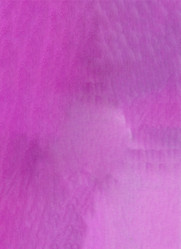 Similar image 13247103