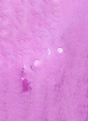 Similar image 13247104