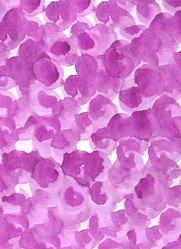 Similar image 13247105