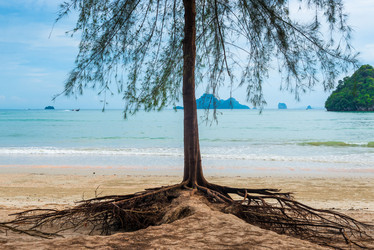 Similar image 13268620