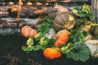 Similar image 13245904