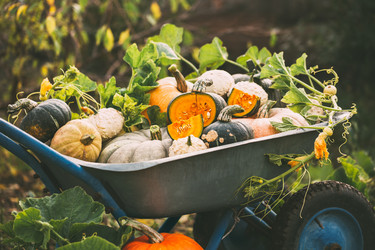 Similar image 13245922