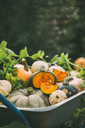 Similar image 13245923