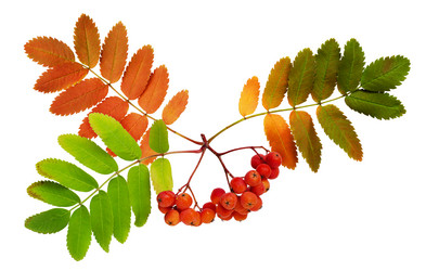 Similar image 13251457