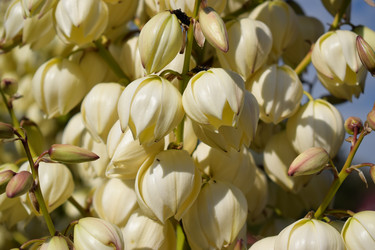 Similar image 13260801