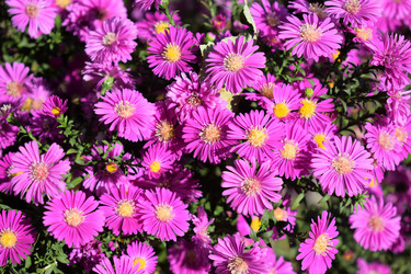 Similar image 13260802