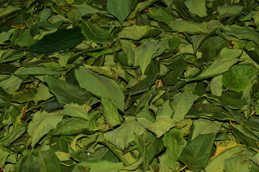 Similar image 13260803