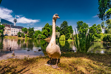 Similar image 13254952