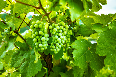 Similar image 13254989