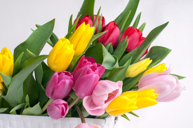 Similar image 13269762