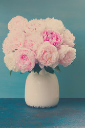 Similar image 13254121