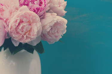 Similar image 13254123