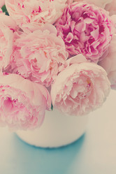 Similar image 13254125