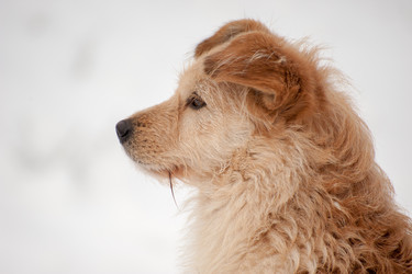 Similar image 13269976