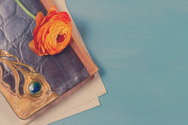 Similar image 13254083