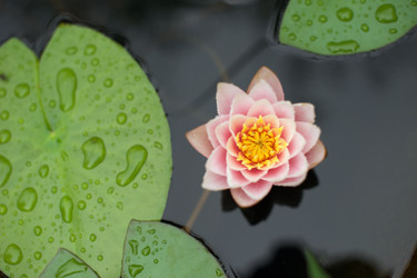 Similar image 13269912