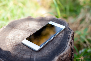 Similar image 13269913