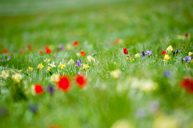 Similar image 13269917