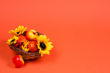 Similar image 13248766