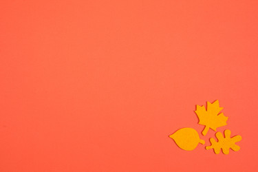 Similar image 13248783