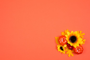 Similar image 13248785